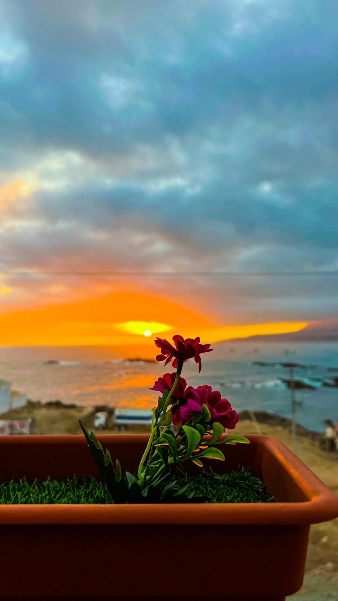 Hotel Aloha Chala Zewnętrze zdjęcie